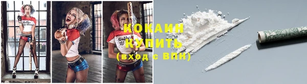 трава Болотное