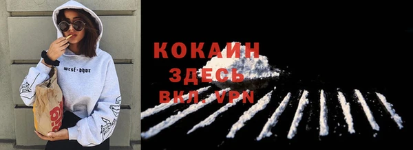 мяу мяу мука Болхов