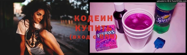 apvp Горняк