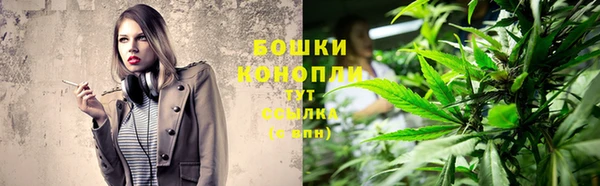 трава Болотное