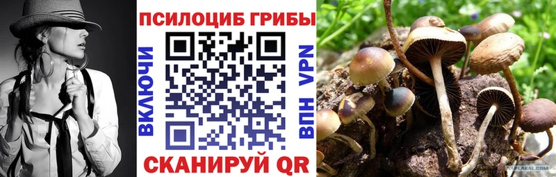 Галлюциногенные грибы мухоморы  Рубцовск 